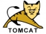 File:Tomcat.jpg