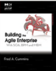 Oceb-book-agile.PNG