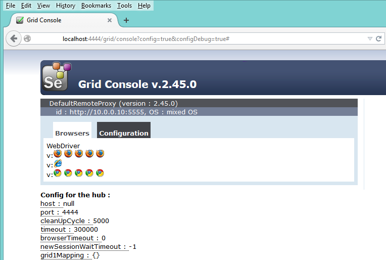 Selenium Grid Console