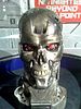 File:Terminator's head.jpg