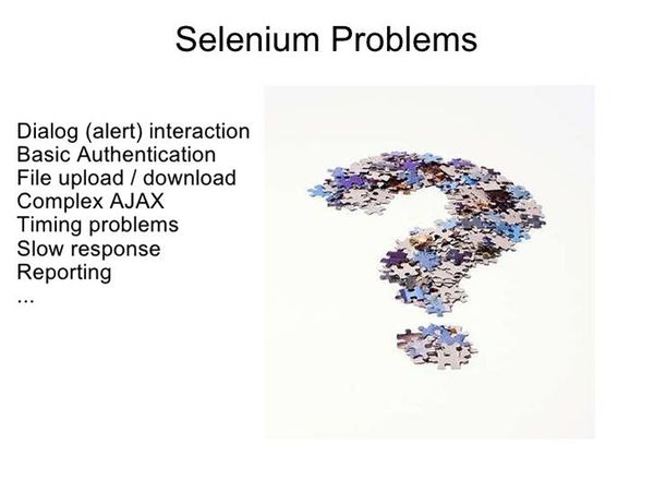 Selenium-problem.jpg